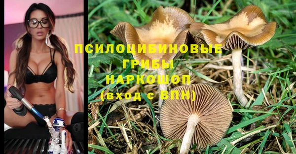 мдпв Балабаново