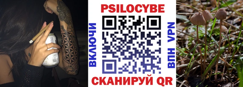 Псилоцибиновые грибы ЛСД  Томмот 
