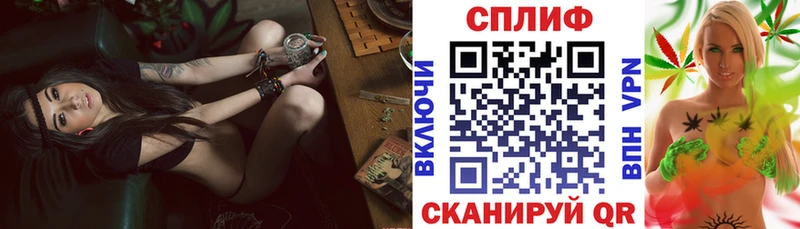 Конопля планчик Томмот